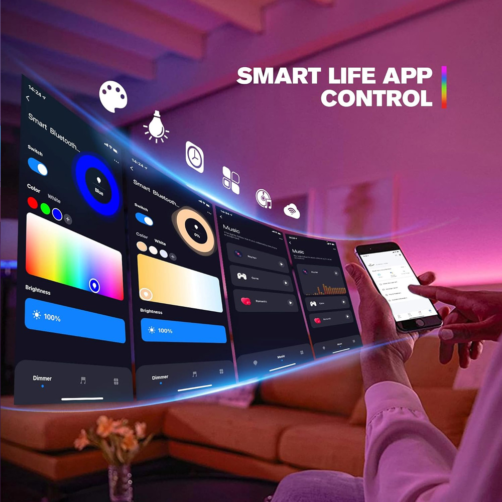 Contrôleur LED intelligent Tuy - Zigbee Coordinator Stick avis et prix