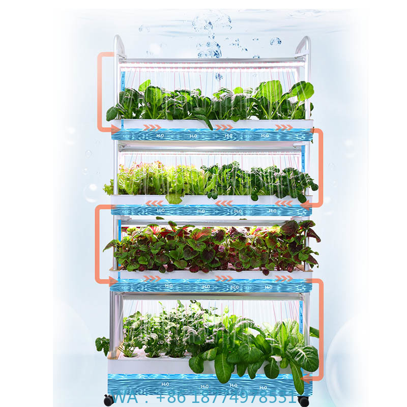 Système de plantation ydroponi - Diy Home Automation System avis et prix