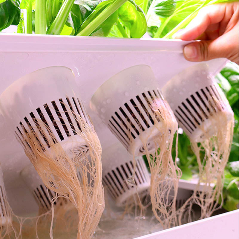 Système de plantation ydroponi - Diy Home Automation System avis et prix